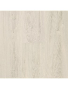 Вяз Magnolia 60039